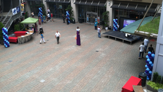 The Hornets' Name-Change Party Is Going Strong